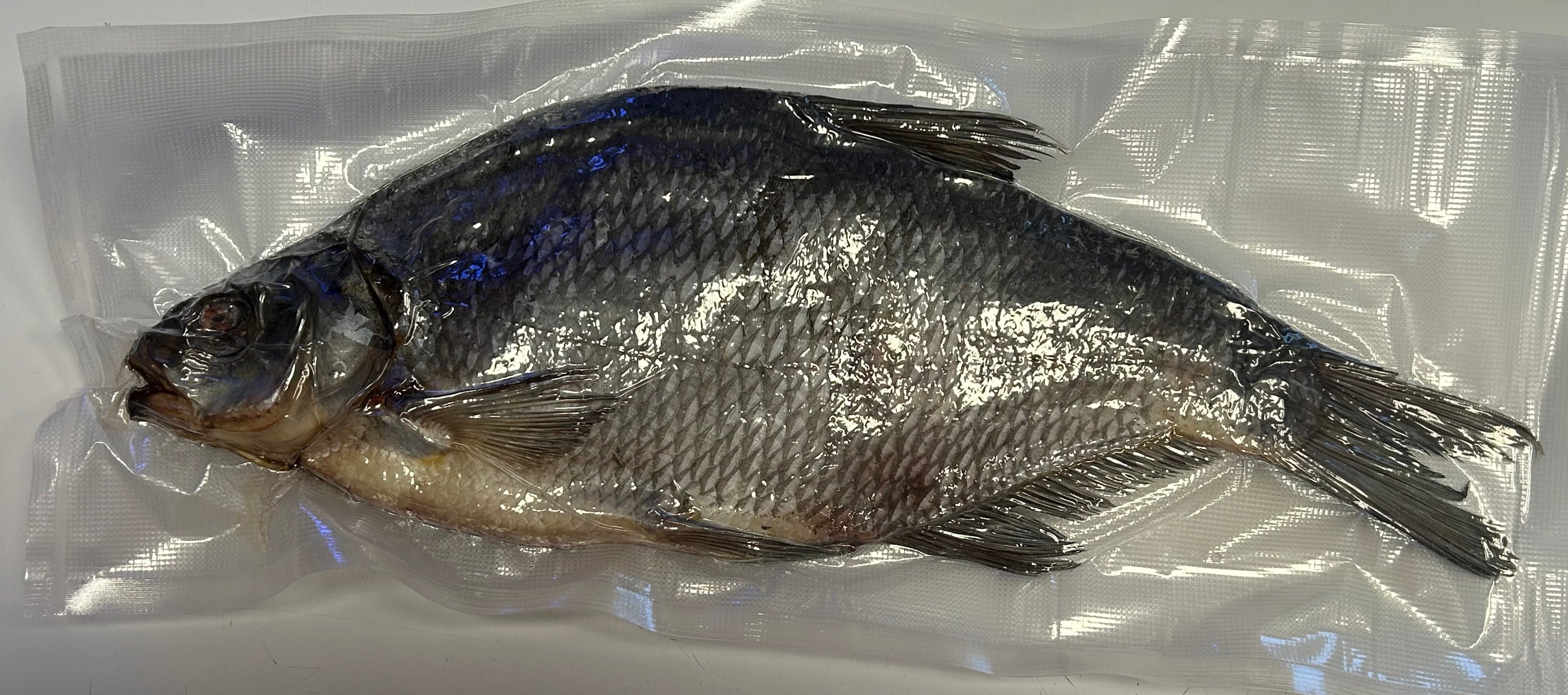 Leszcz suszony (лещ вяленый)